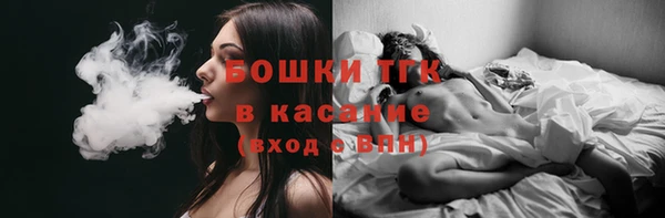 сатива Абаза