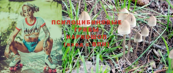 Альфа ПВП Пестово