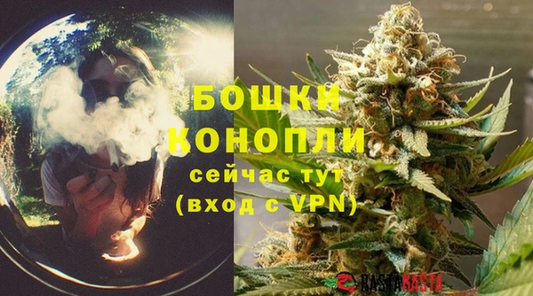 сатива Абаза