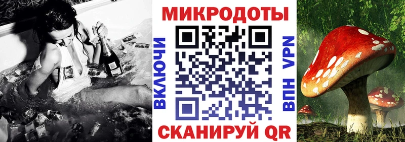 Галлюциногенные грибы мухоморы  omg зеркало  Новосиль  цена  
